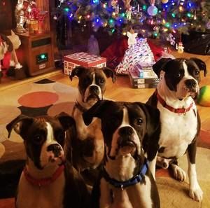 Meet your Posher, Antoinette